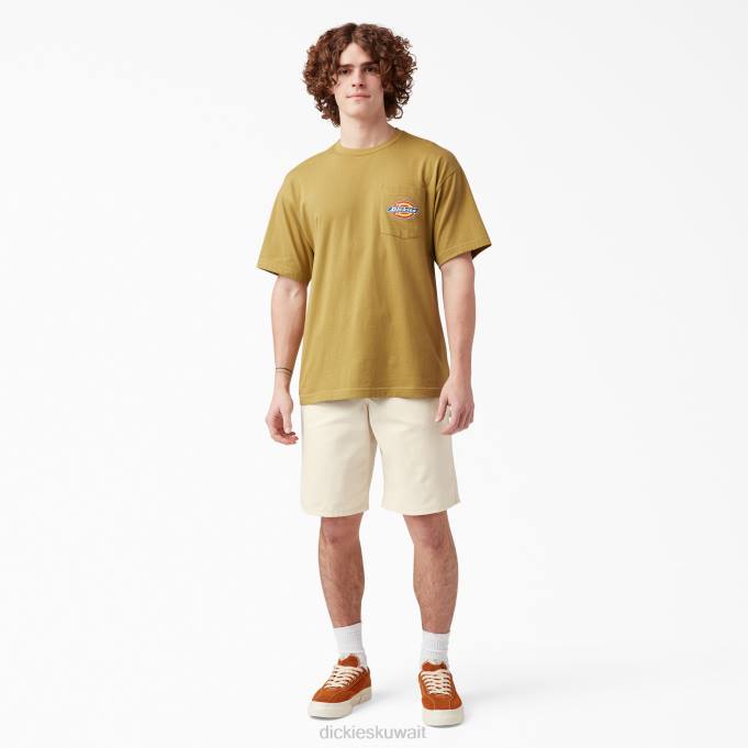 Dickies رجال شورت رسام 11 