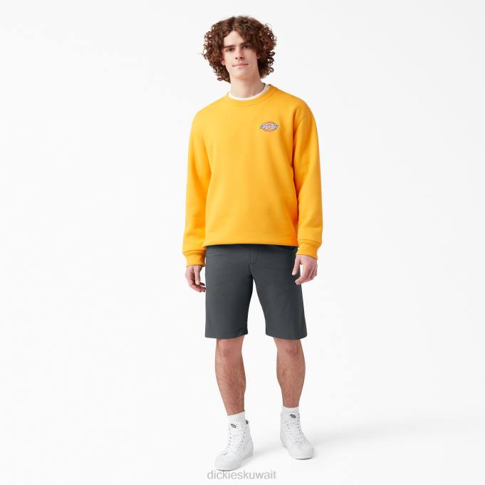 Dickies رجال شورت تبريد 11 