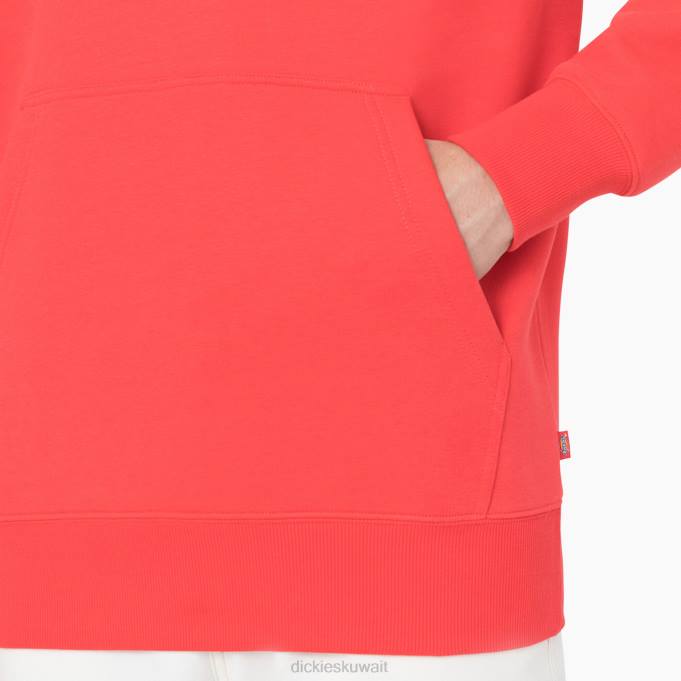 Dickies رجال هوديي سمرديل أبو منجل القرمزي (ج 2 إس) ثياب 84441184