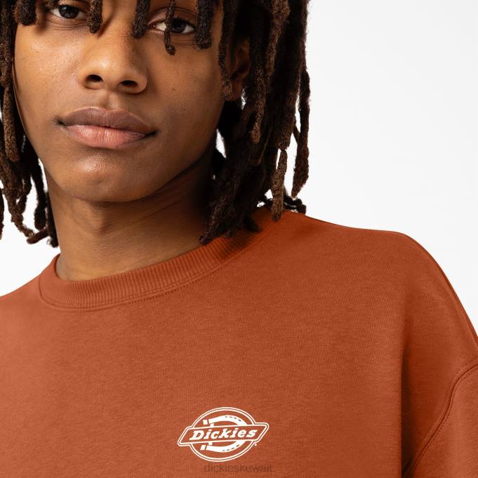 Dickies رجال من النوع الثقيل هولتفيل عادي ثياب 84441095