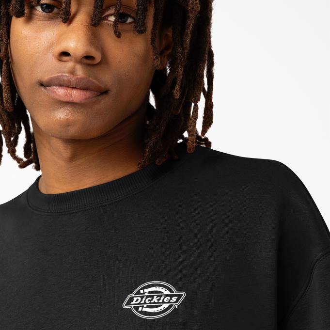 Dickies رجال من النوع الثقيل هولتفيل عادي ثياب 84441096