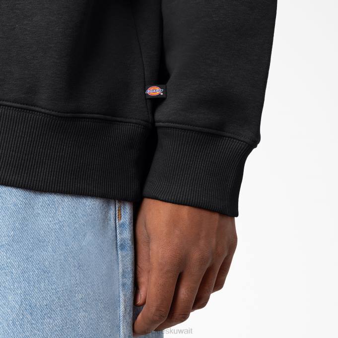 Dickies رجال من النوع الثقيل هولتفيل عادي ثياب 84441096