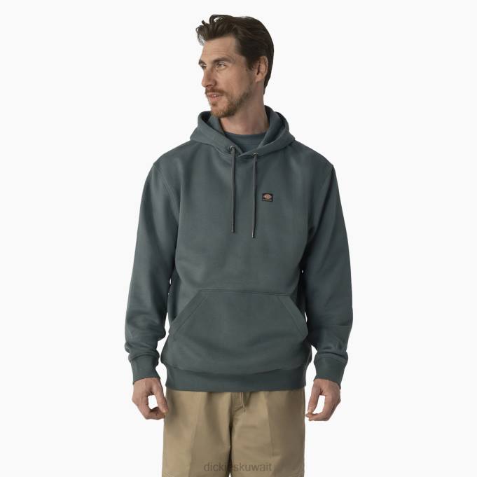 Dickies رجال هوديي بشعار الماركة على الصدر عادي ثياب 84441137