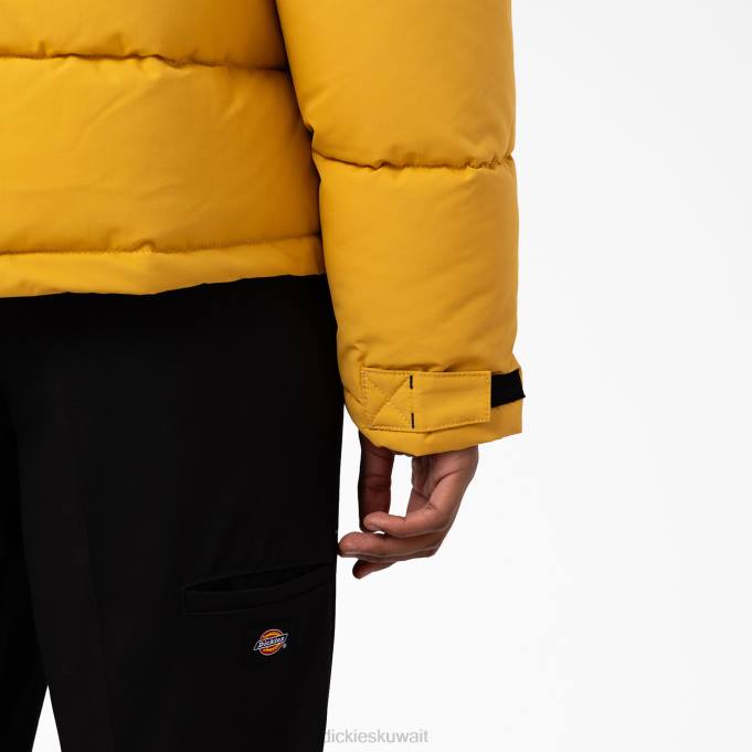 Dickies رجال سترة أنوراك منتفخة لعرض الأنهار الجليدية عادي ثياب 84441178