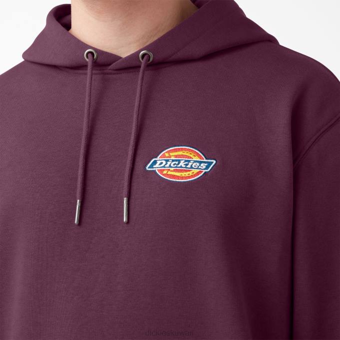 Dickies رجال هودي صوف مطرز بشعار الصدر عادي ثياب 84441207
