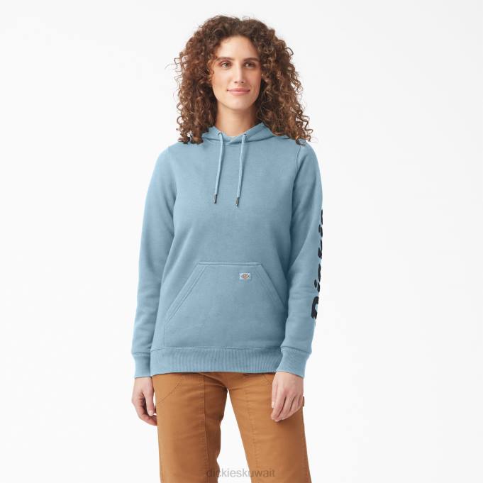 Dickies نحيف كنزة ثقيلة الوزن بشعار الماركة واضح الأزرق (الاتحاد الأوروبي) ثياب 84442304