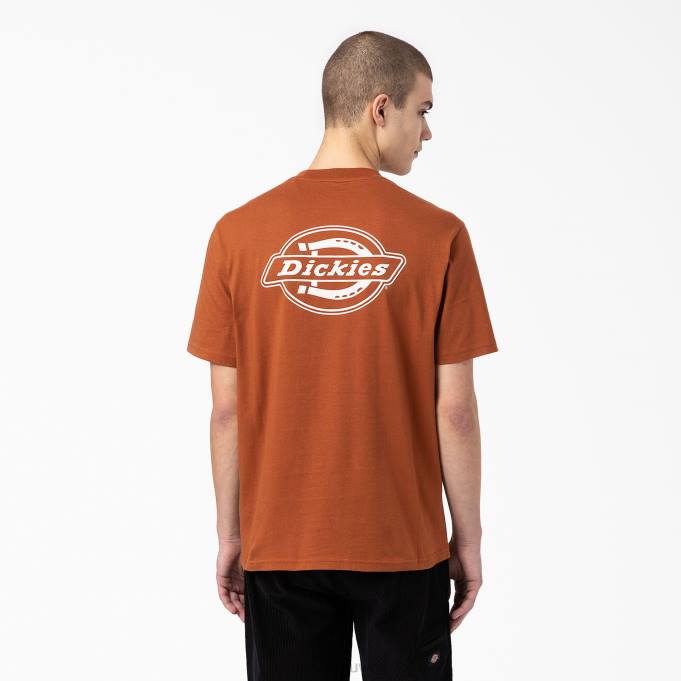 Dickies رجال تي شيرت بطبعة شعار الماركة من الخلف خبز الزنجبيل البني (أي) ثياب 8444748