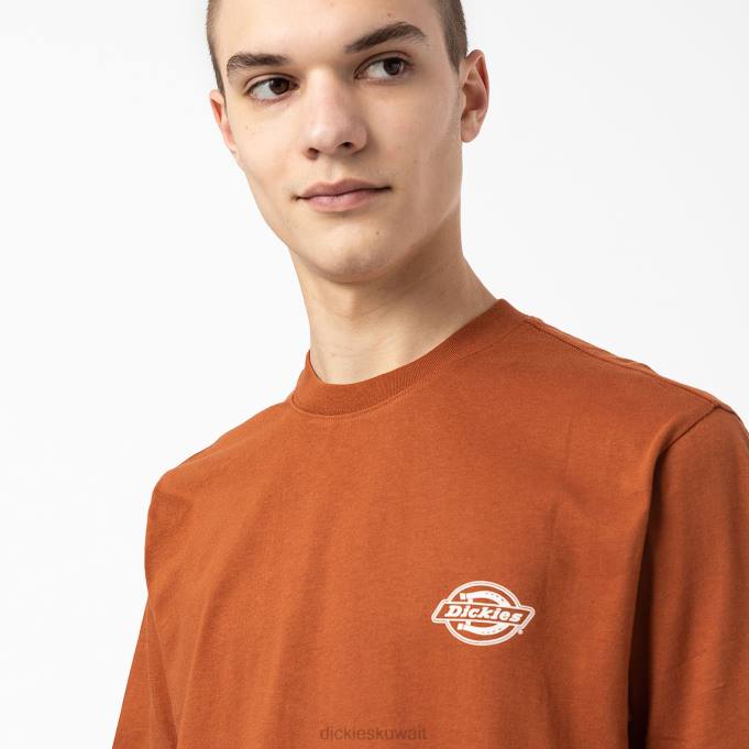 Dickies رجال تي شيرت بطبعة شعار الماركة من الخلف خبز الزنجبيل البني (أي) ثياب 8444748