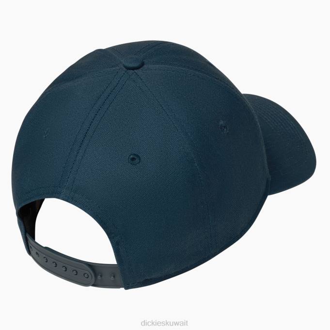 Dickies للجنسين 874 غطاء من نسيج قطني طويل القوة الجوية الزرقاء (AF) مُكَمِّلات 84441461