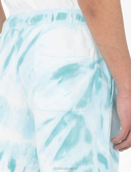 Dickies رجال شورت ويستفير 8 