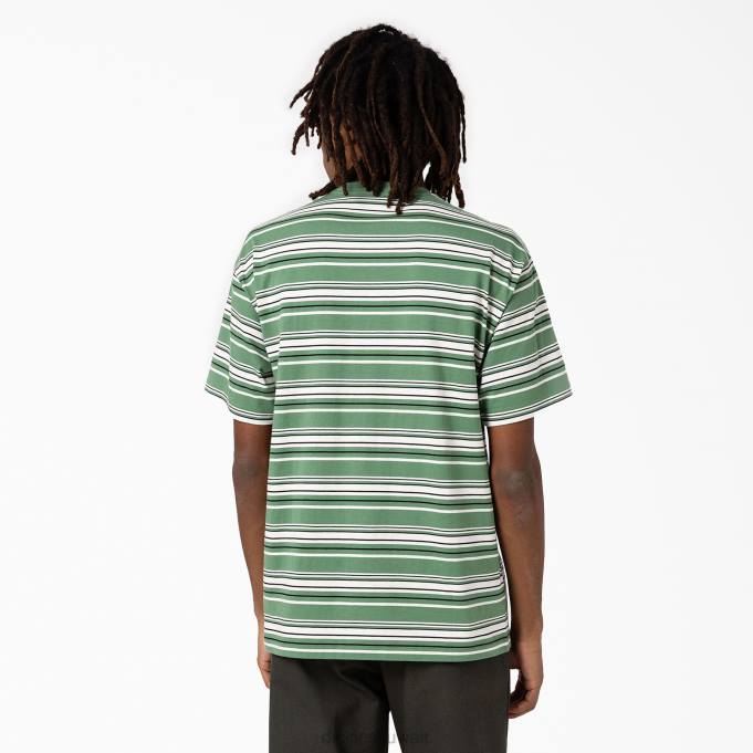 Dickies رجال تي شيرت بجيب مخطط بقصة مريحة شريط متنوع لبلاب داكن (DSV) ثياب 8444745