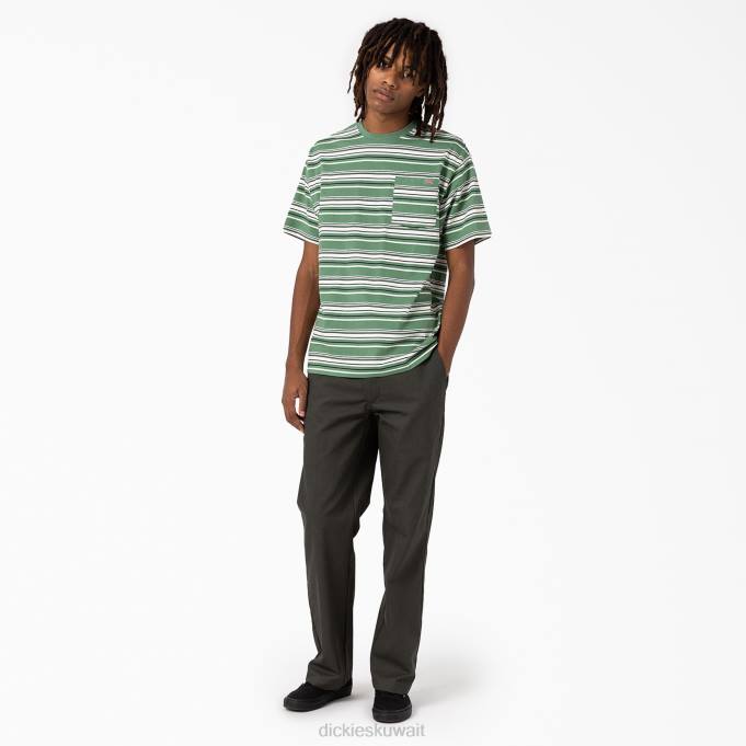 Dickies رجال تي شيرت بجيب مخطط بقصة مريحة شريط متنوع لبلاب داكن (DSV) ثياب 8444745