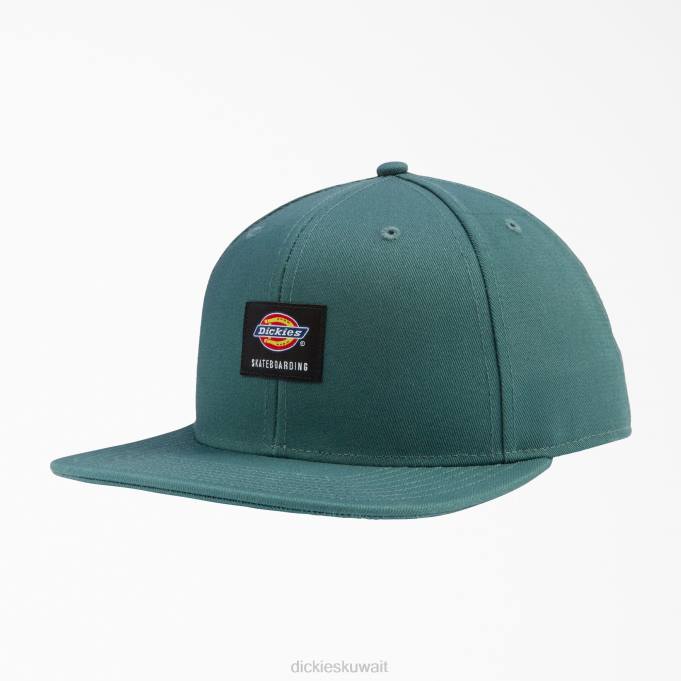 Dickies للجنسين التزلج شقة فاتورة غطاء لينكولن الأخضر (LN) مُكَمِّلات 84442846