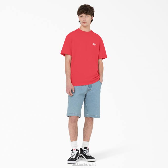 Dickies رجال تي شيرت بأكمام قصيرة Summerdale حلو ومر (وزن الجسم 2) ثياب 8444580