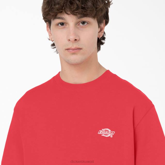 Dickies رجال تي شيرت بأكمام قصيرة Summerdale حلو ومر (وزن الجسم 2) ثياب 8444580