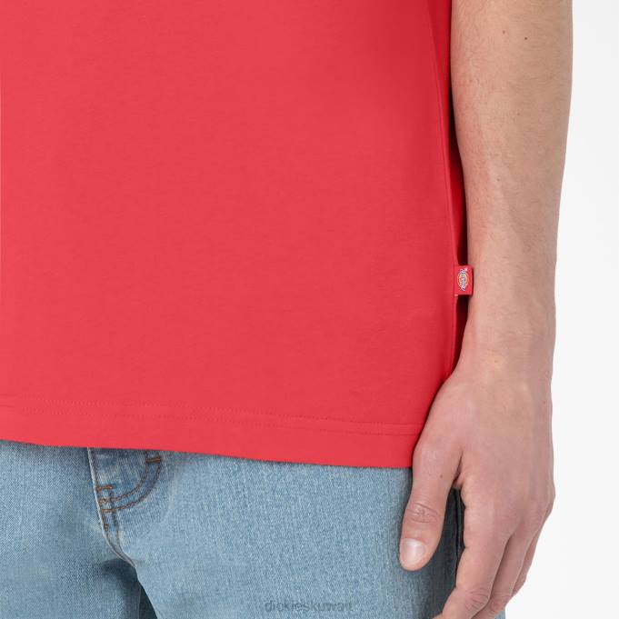 Dickies رجال تي شيرت بأكمام قصيرة Summerdale حلو ومر (وزن الجسم 2) ثياب 8444580