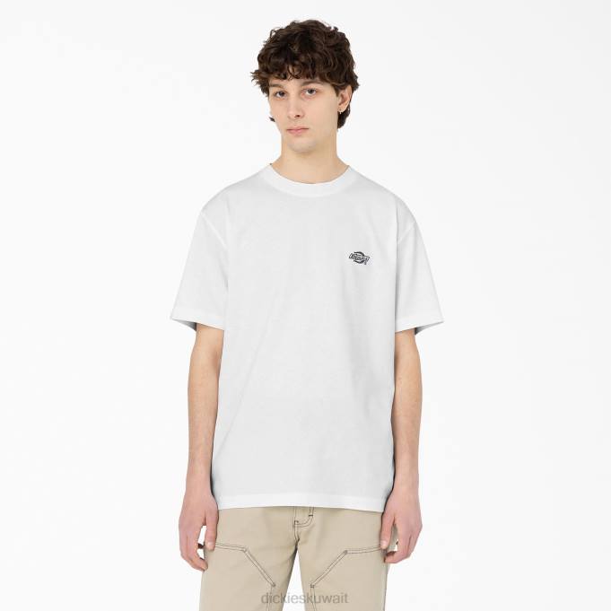 Dickies رجال تي شيرت بأكمام قصيرة Summerdale أبيض (wh) ثياب 8444583