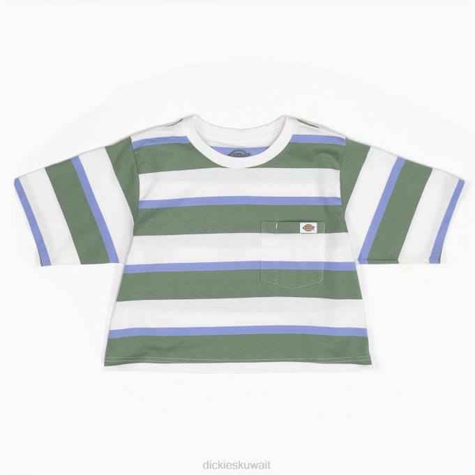 Dickies نحيف تي شيرت قصير مخطط شريط جماعي أبيض / أخضر (WSE) ثياب 84442015