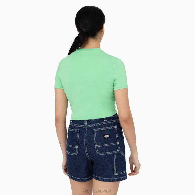 Dickies نحيف تي شيرت قصير بشعار وادي القيقب التفاح والنعناع (ar2) ثياب 84442094