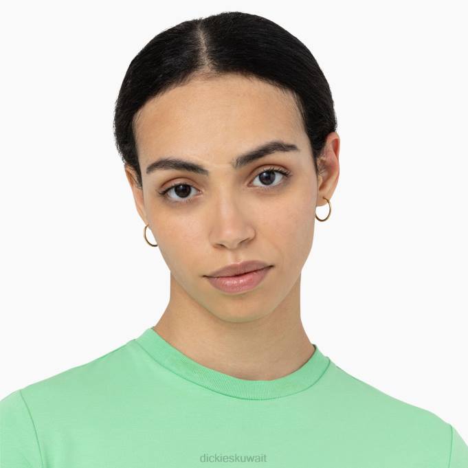 Dickies نحيف تي شيرت قصير بشعار وادي القيقب التفاح والنعناع (ar2) ثياب 84442094