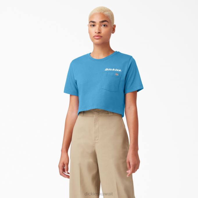Dickies نحيف تي شيرت قصير برسومات الكوبالت اللامع (b2t) ثياب 84442148