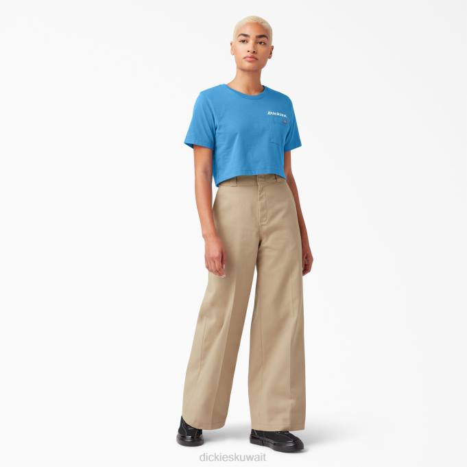 Dickies نحيف تي شيرت قصير برسومات الكوبالت اللامع (b2t) ثياب 84442148