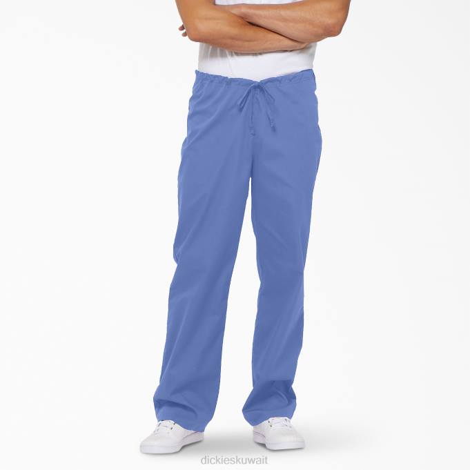 Dickies رجال بنطلون مقشر للجنسين من إي دي إس سيغنتشر سقف أزرق (cbl) ثياب 84441306