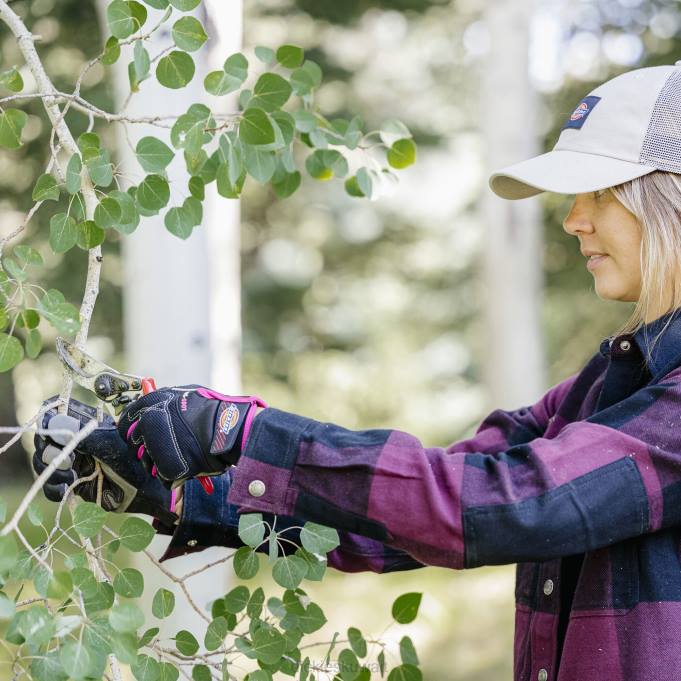 Dickies نحيف قفازات الأداء رمادي فحمي (ch) مُكَمِّلات 84443015