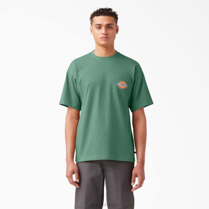 Dickies رجال تي شيرت بجيب بشعار الماركة على الصدر اللبلاب الداكن (d2i) ثياب 8444893