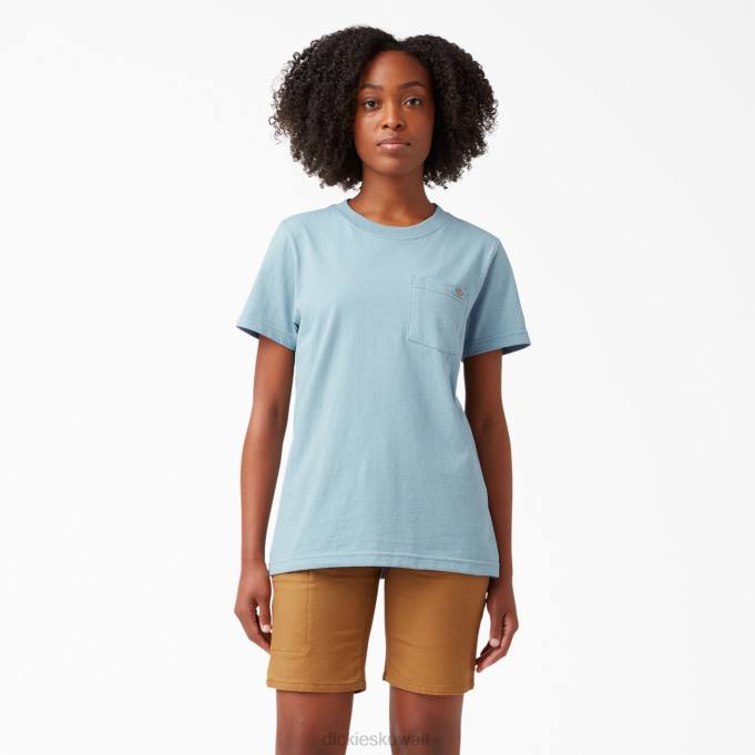 Dickies نحيف تيشيرت قصير الأكمام ثقيل الوزن حوض السفن الأزرق (du1) ثياب 84441957