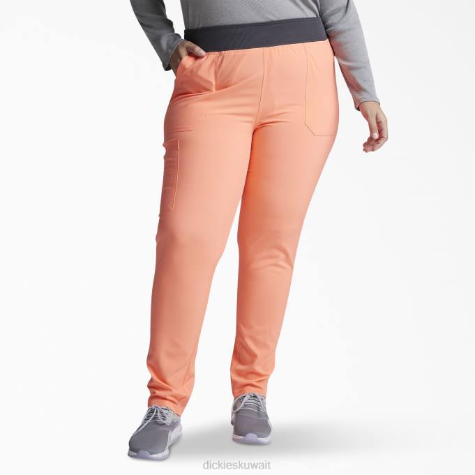 Dickies نحيف بنطلون مقشر للساق مدبب من eds Essentials الفجر الجديد (داو) ثياب 84442514