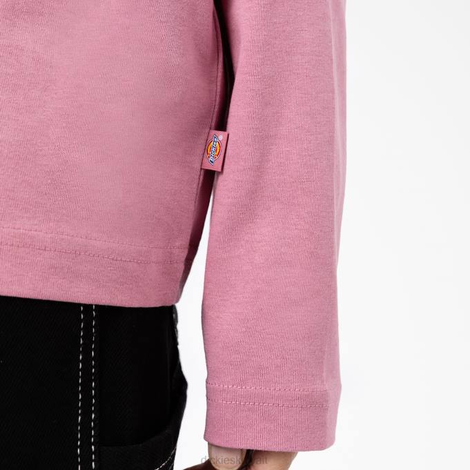 Dickies نحيف تي شيرت سمرديل بأكمام طويلة قفاز الثعلب (f2g) ثياب 84441989