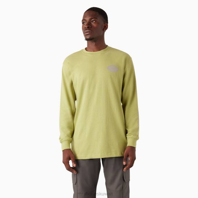 Dickies رجال تيشيرت بأكمام طويلة وشعار ثقيل الوزن هيذر السرخس (f2h) ثياب 8444869