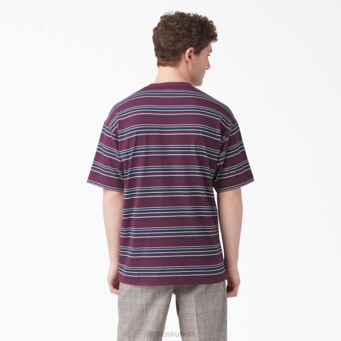 Dickies رجال تي شيرت بجيب مخطط بقصة مريحة شريط النبيذ العنب (gsw) ثياب 8444746