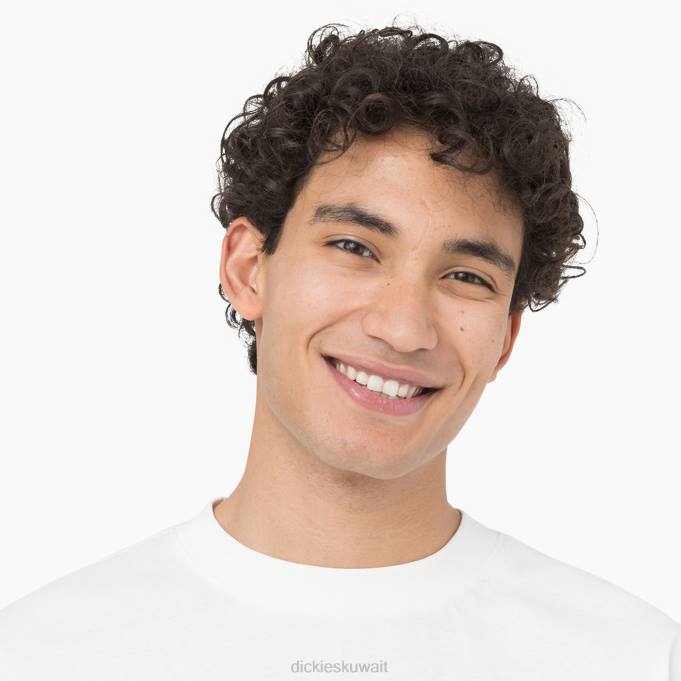 Dickies رجال تي شيرت بأكمام طويلة من oatfield سحابة (cl9) ثياب 8444805