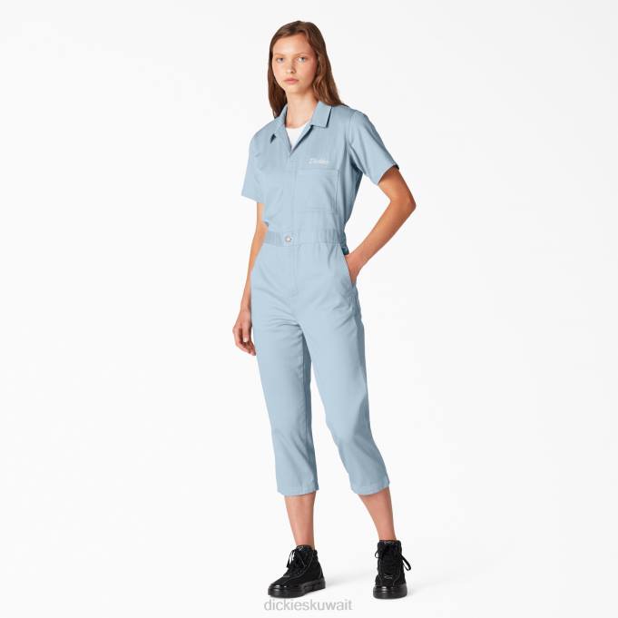 Dickies نحيف المآزر المعاد صياغتها ضباب أزرق مغسول بالحجارة (sgf) ملابس العمل 84441944