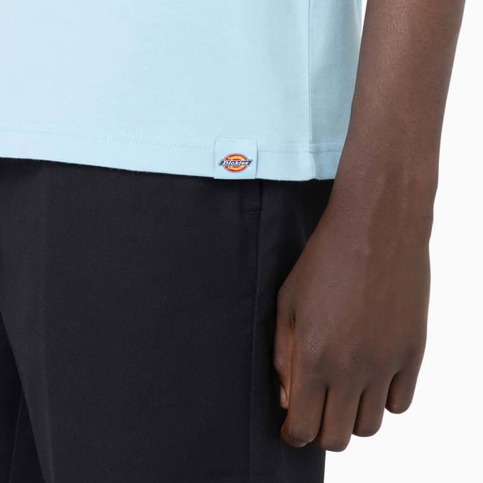 Dickies رجال تي شيرت بايسايد جاردنز بأكمام قصيرة السماء الزرقاء (su9) ثياب 8444585