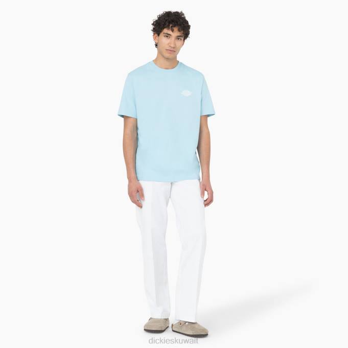 Dickies رجال تي شيرت بطبعة شعار الماركة من الخلف السماء الزرقاء (su9) ثياب 8444751