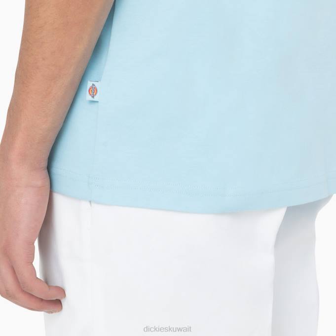 Dickies رجال تي شيرت بطبعة شعار الماركة من الخلف السماء الزرقاء (su9) ثياب 8444751