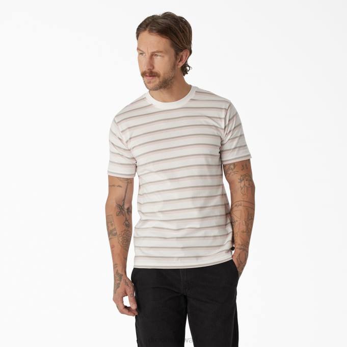 Dickies رجال تي شيرت مخطط التزلج لوتس وردي / شريط أبيض (tse) ثياب 8444773