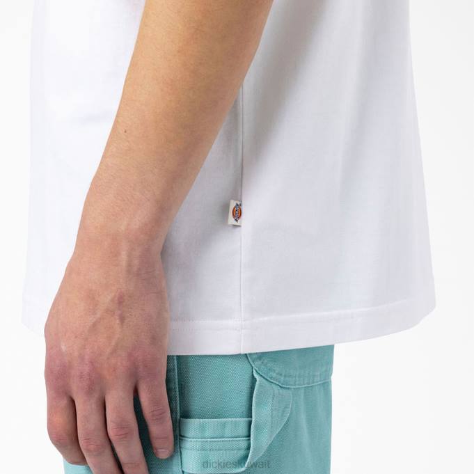 Dickies رجال تزلج جبل فيستا تي شيرت أبيض (wh) ثياب 8444931