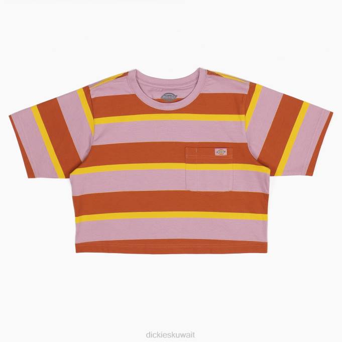 Dickies نحيف تي شيرت قصير مخطط شريط كوليجيت ثعلب الزنجبيل (xsr) ثياب 84442017