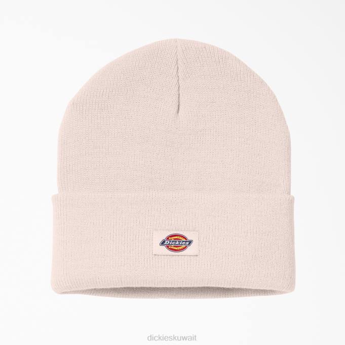 Dickies للجنسين قبعة صغيرة متماسكة مكبل لوتس الوردي (zlo) مُكَمِّلات 84441503